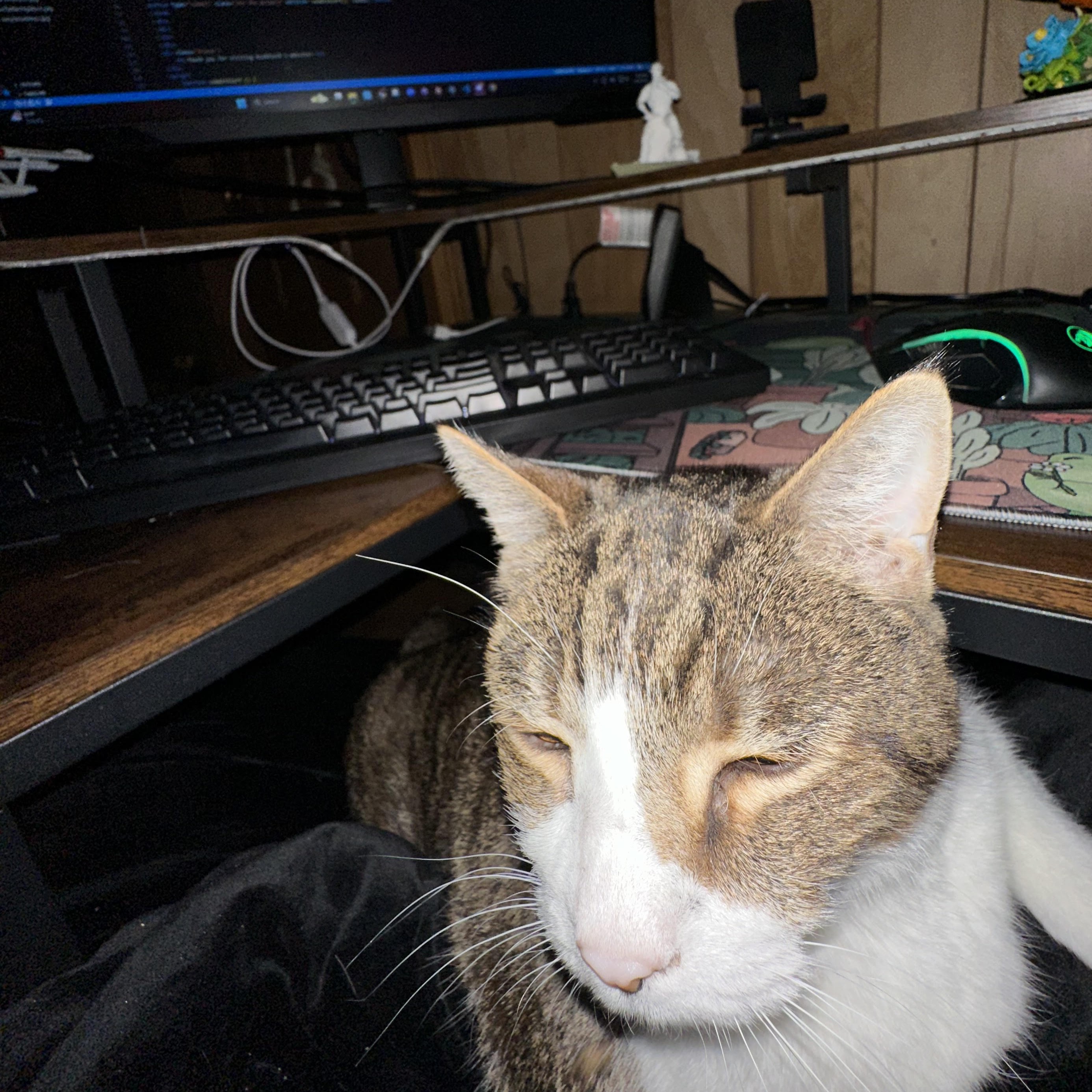 Roadblock Doing What Appears to be Coding