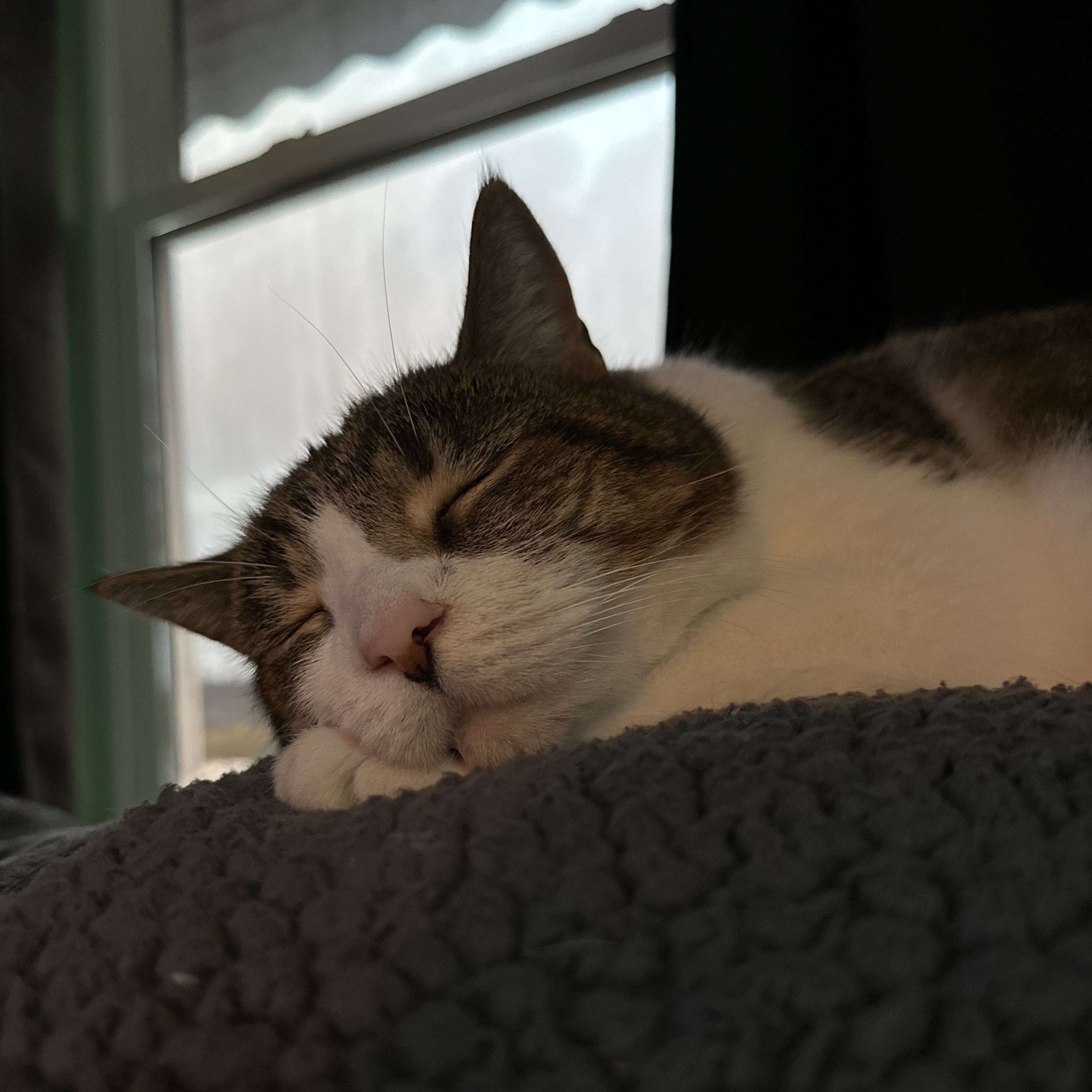 Roadblock Sleeping