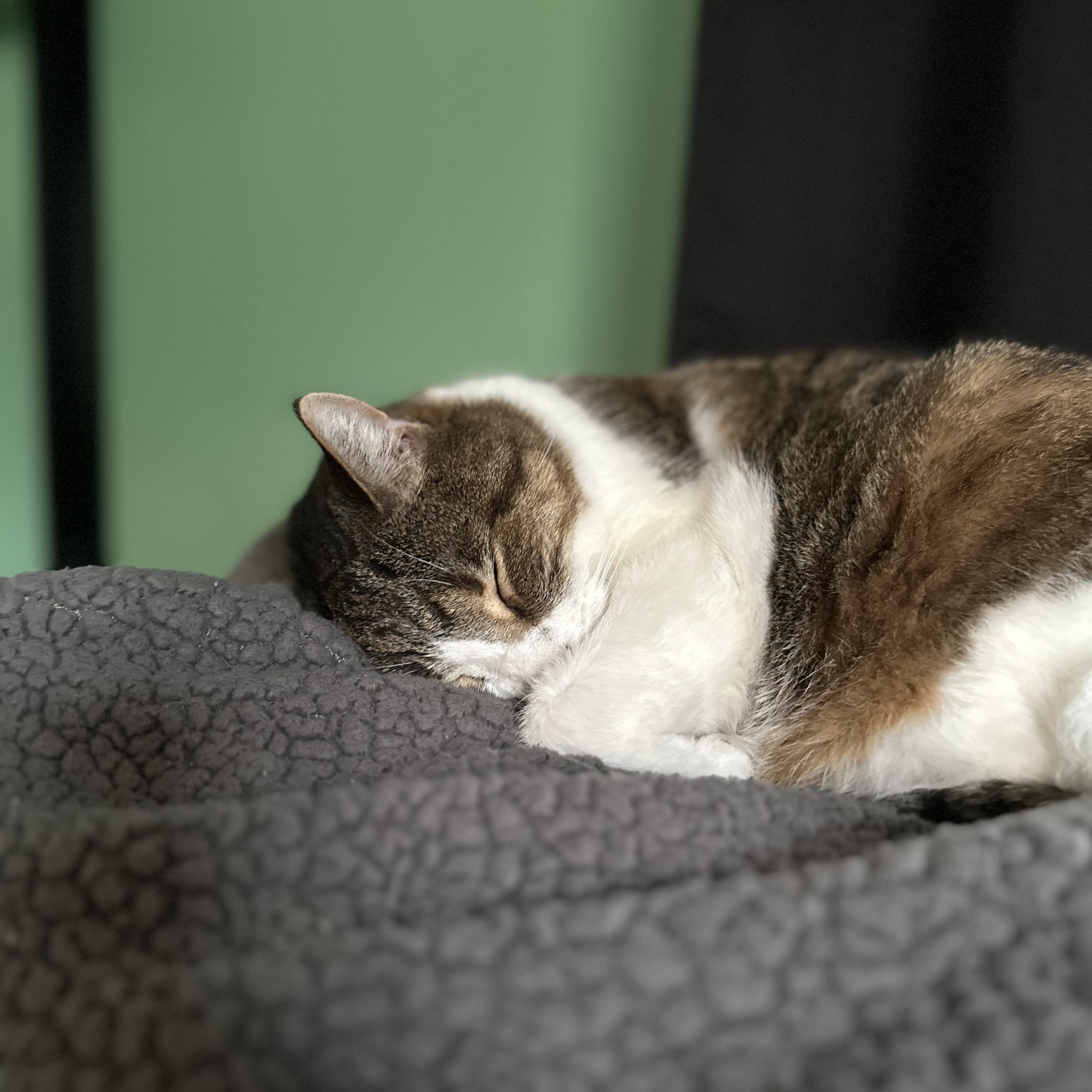 Roadblock Sleeping