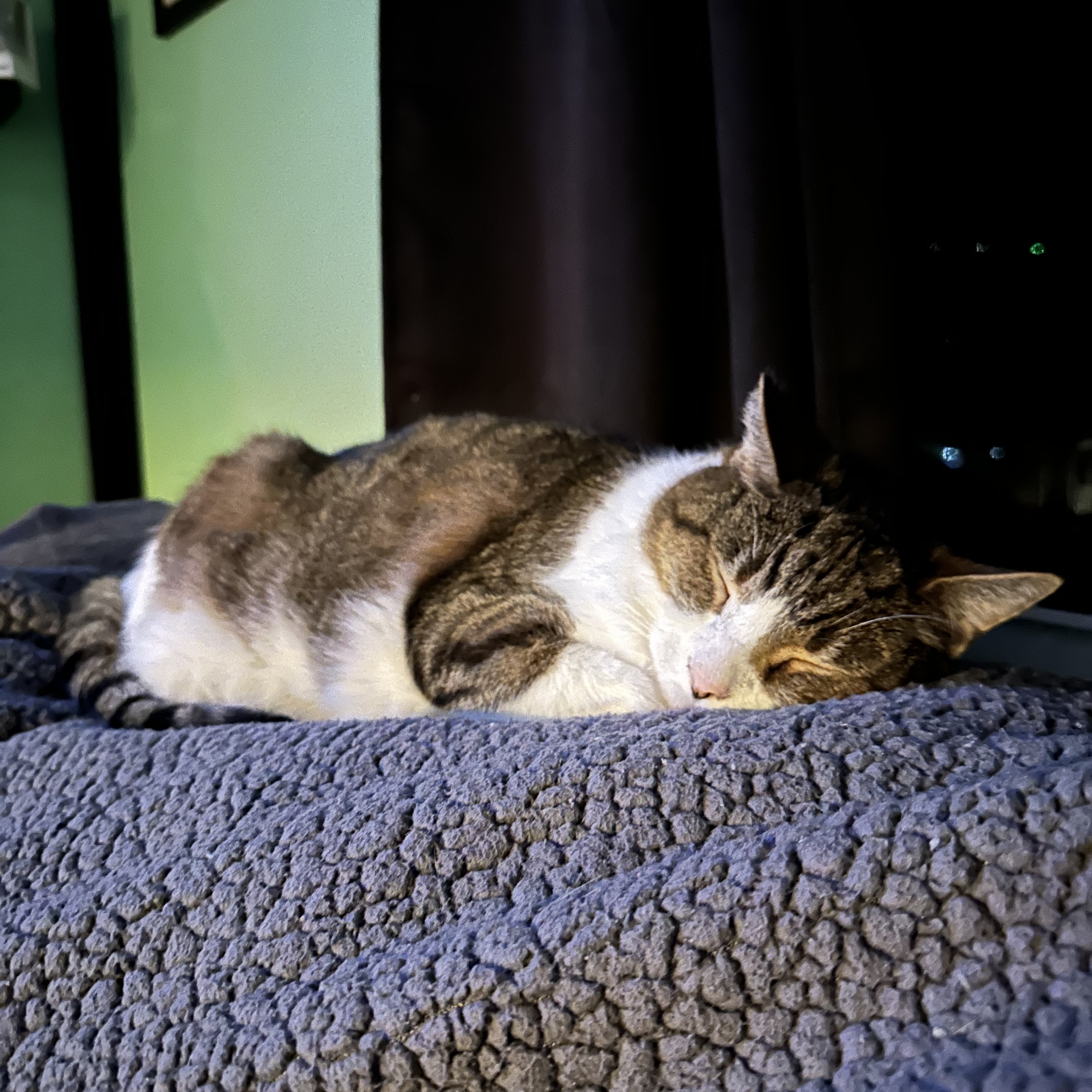 Roadblock Sleeping