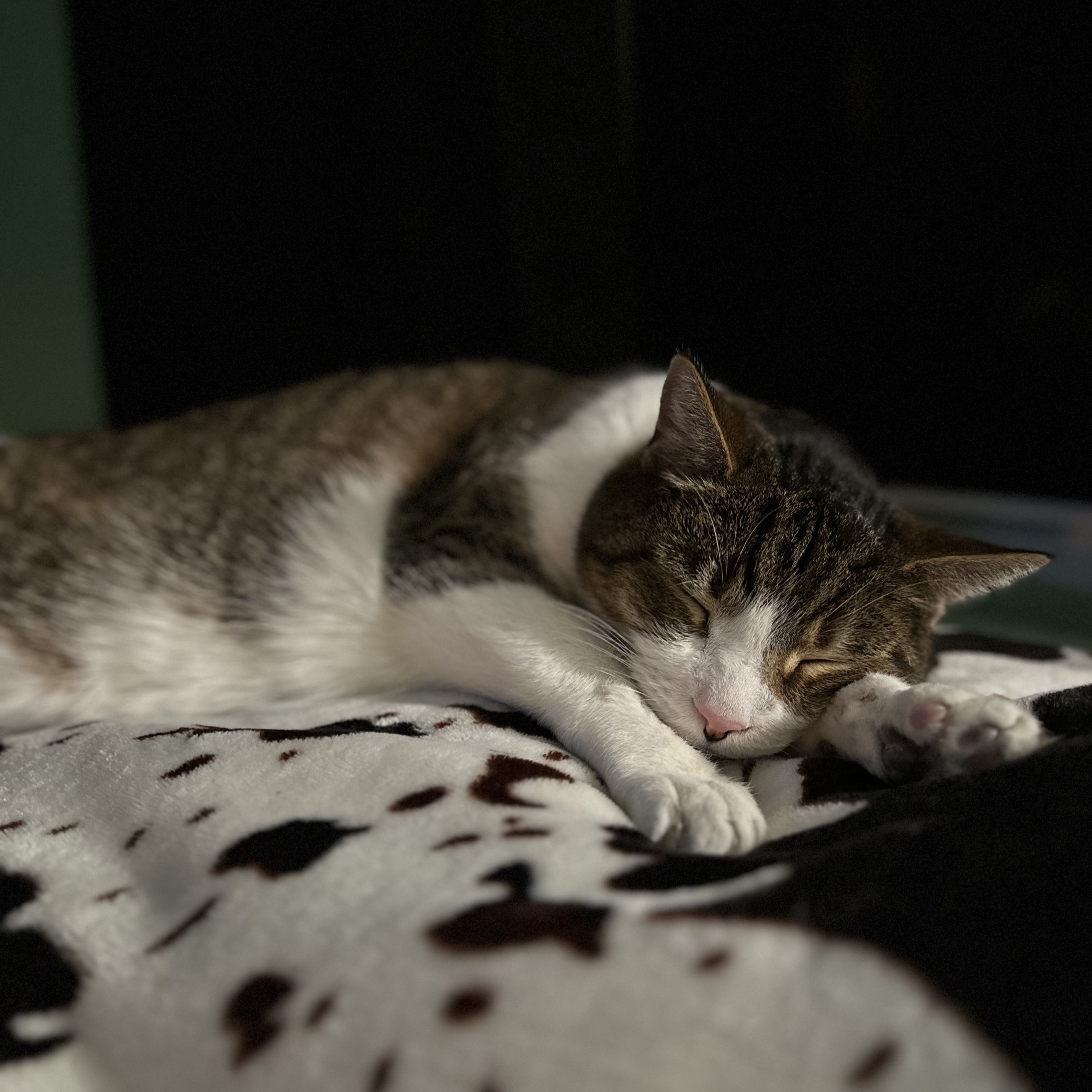 Roadblock Sleeping